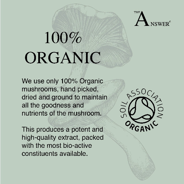 Cordyceps 100% Organic Mushroom Powder