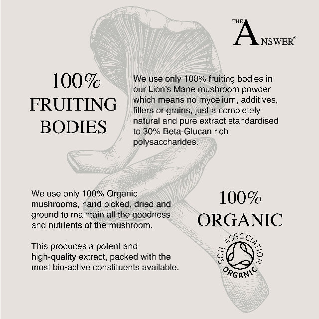 Lion's Mane 100% Organic Mushroom Powder